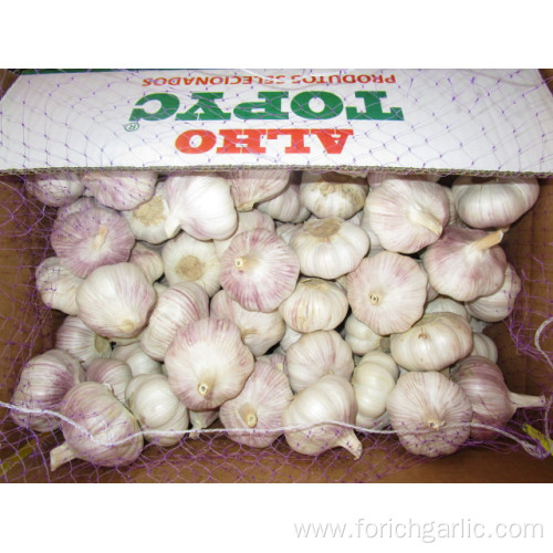 Fresh New Crop Normal White Garlic 5.0cm